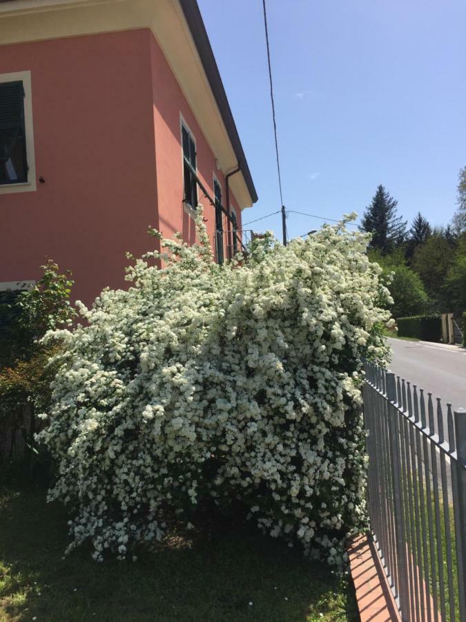 Il Ghiretto Apartment